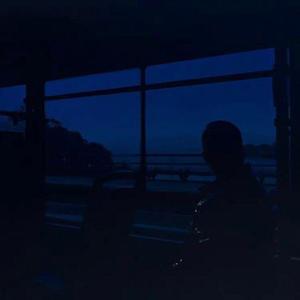 网页优惠券小鲤导航
