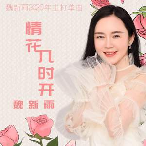 网页优惠券小鲤导航
