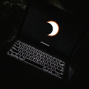 网页优惠券小鲤导航
