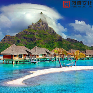 网页优惠券小鲤导航
